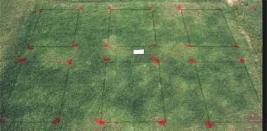 Basagran herbicide effect on Mini-Verde? bermudagrass