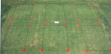Basagran herbicide effect on TifEagle (1997) bermudagrass