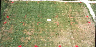 Illoxan herbicide effect on TifEagle (1997) bermudagrass